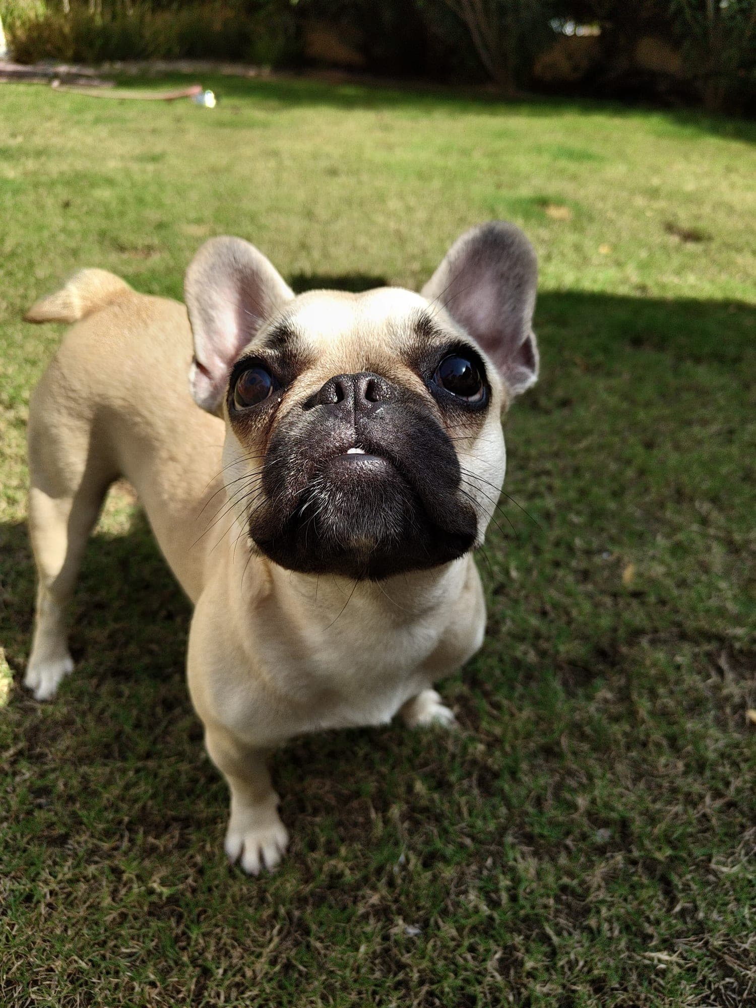 Betty