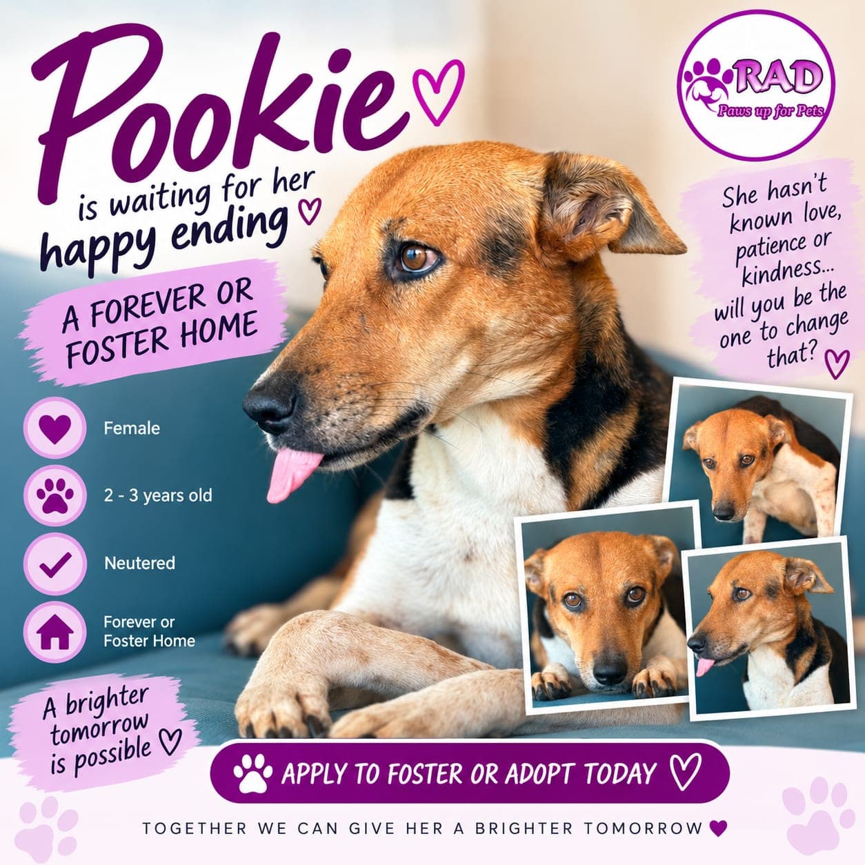 Pookie