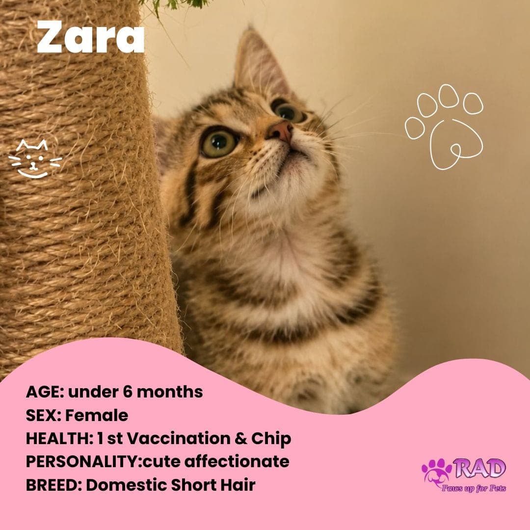 Zara