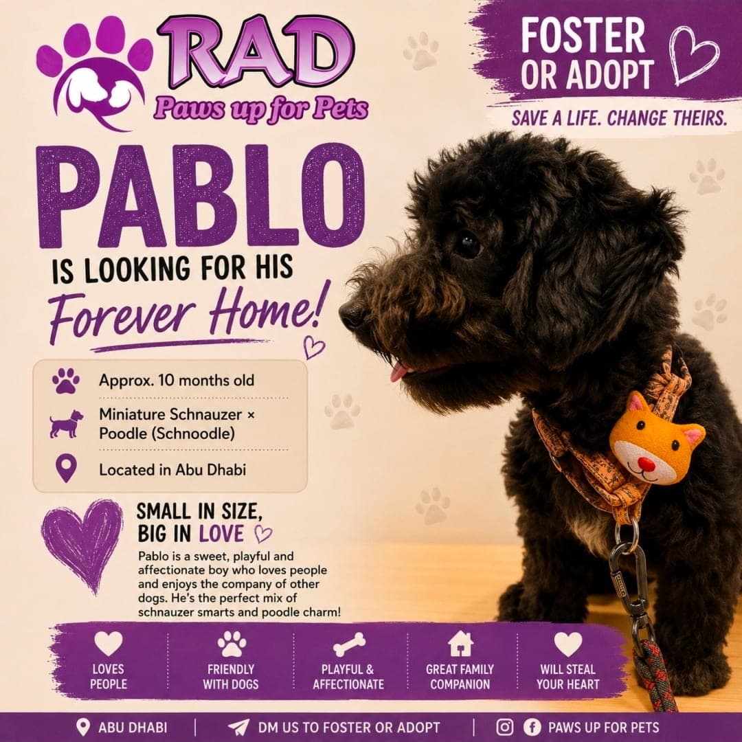 Pablo