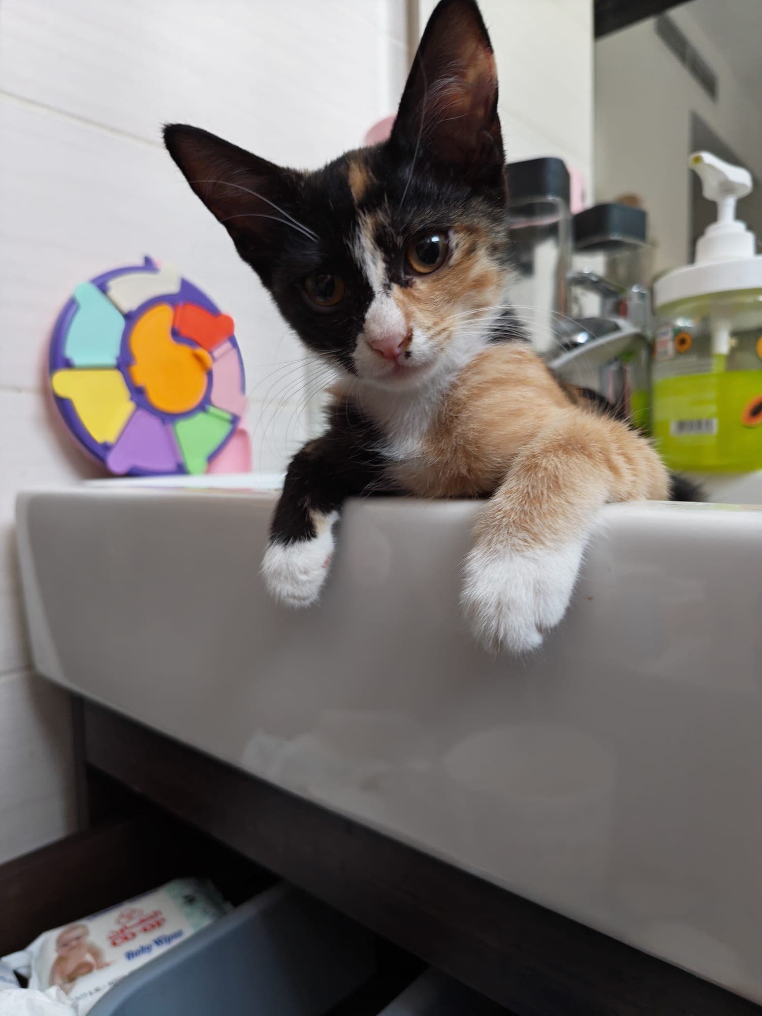 Molly