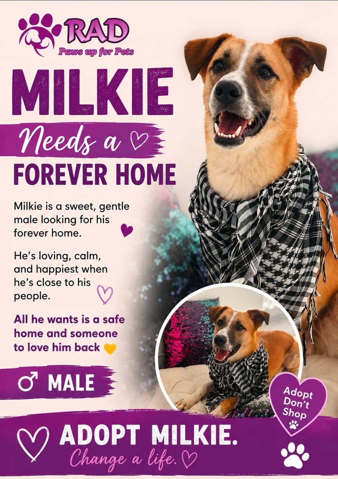 Milkie