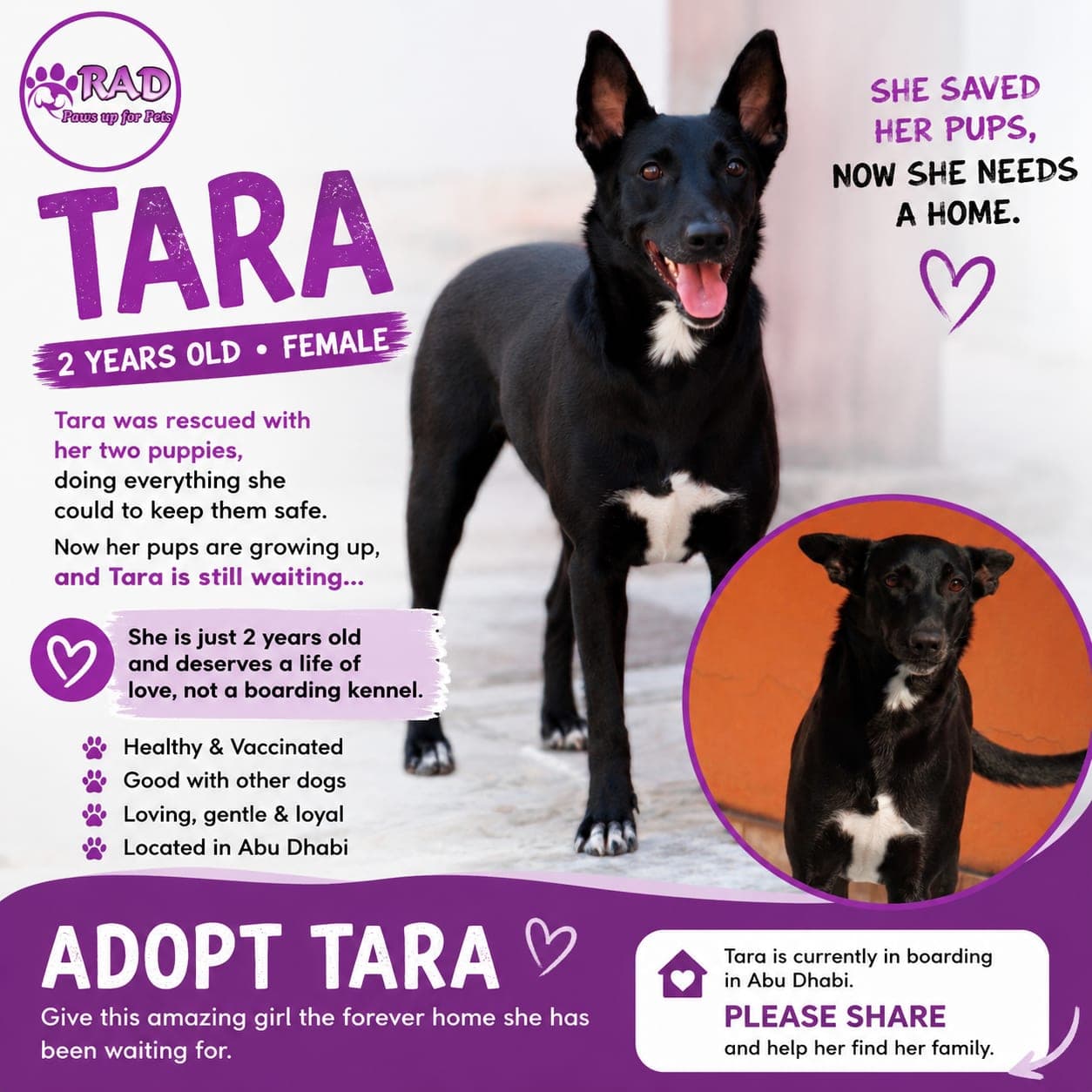 Tara