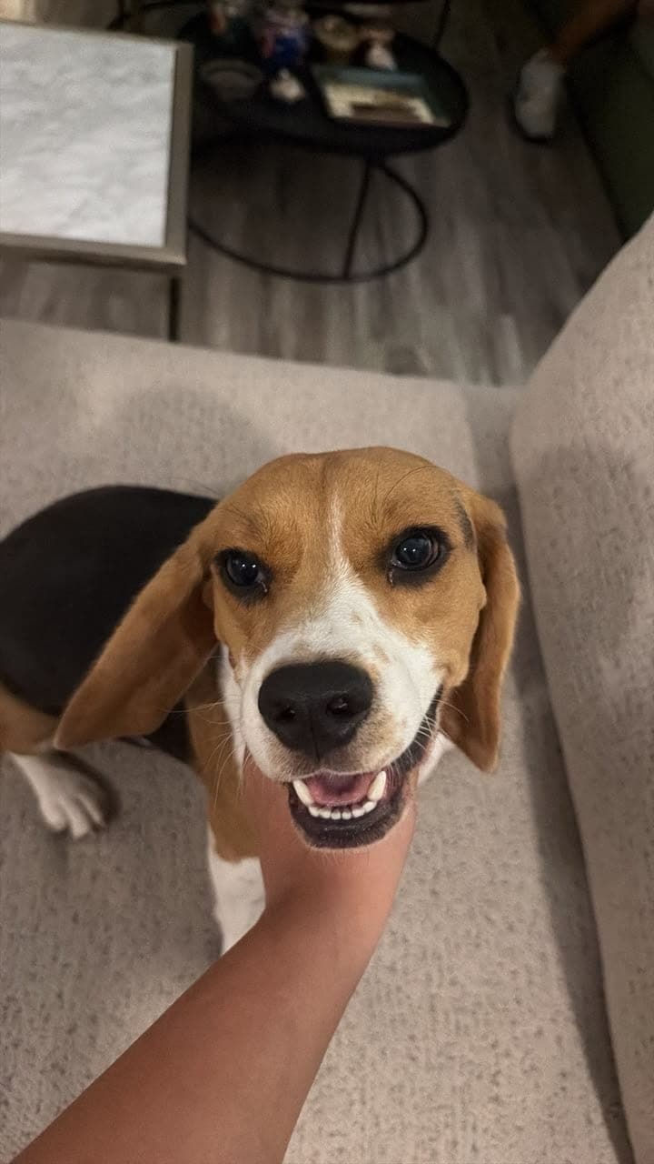 Floppsy