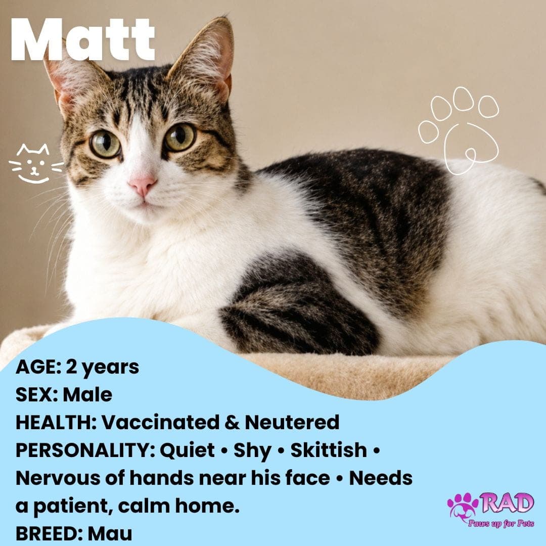 Matt