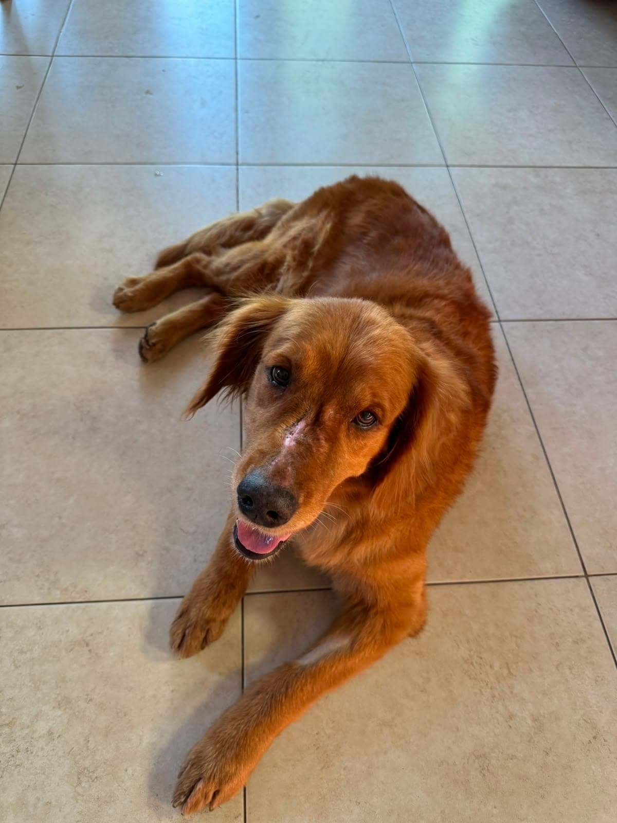 Caramel