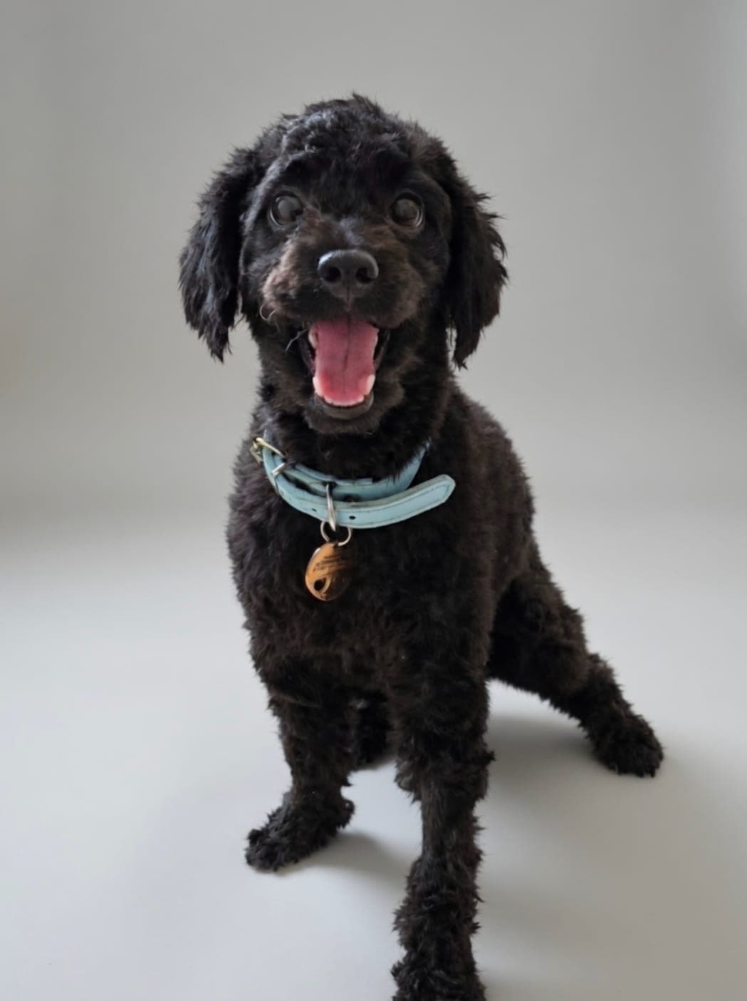 Chico