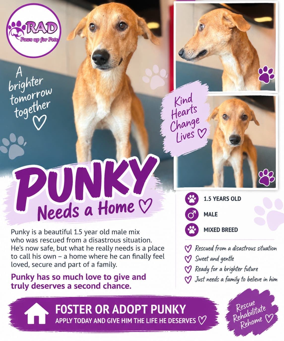 Punky