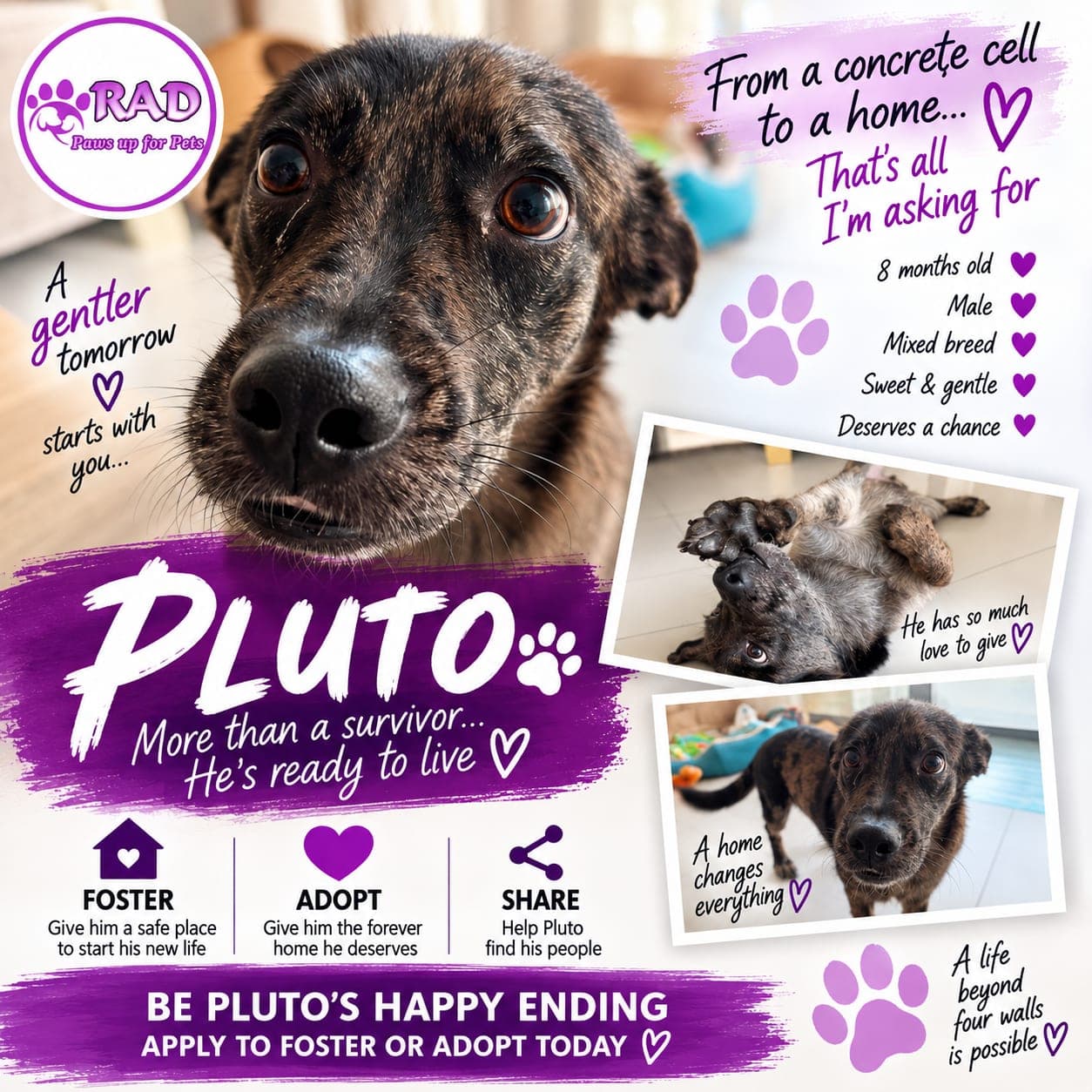 Pluto