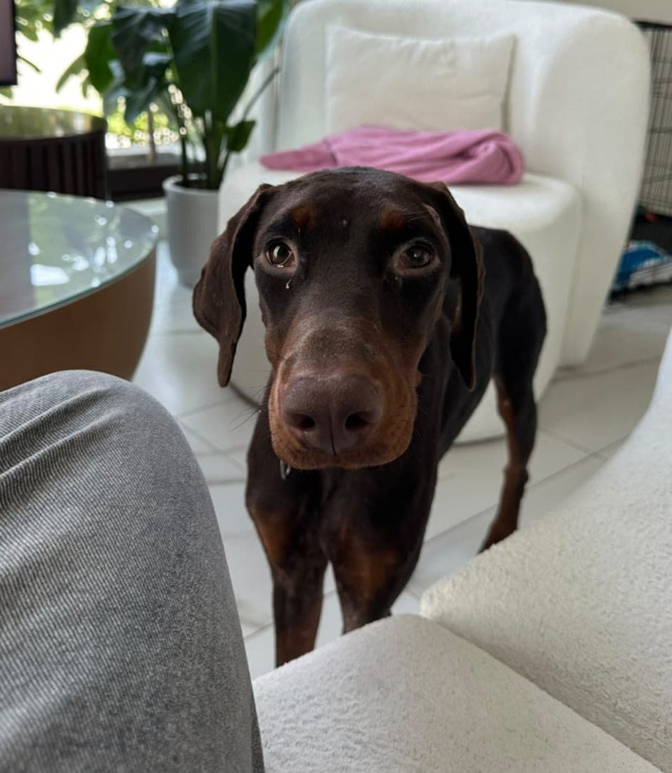 Nayla