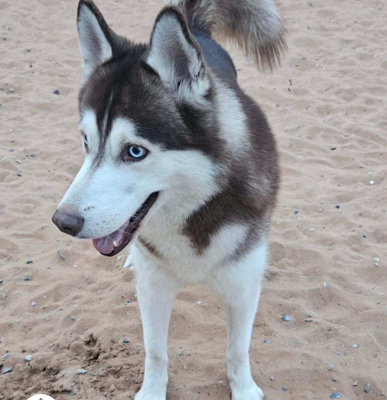 Zeus
