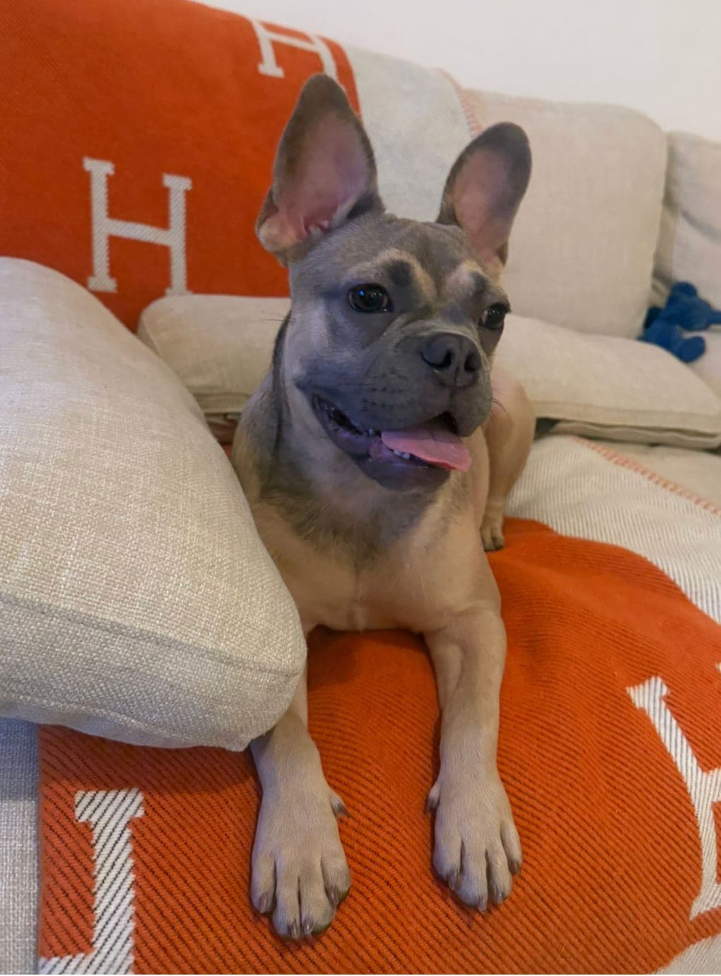Edie