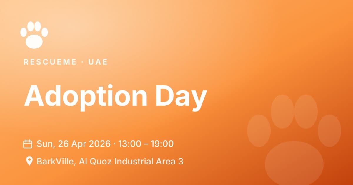Adoption Day
