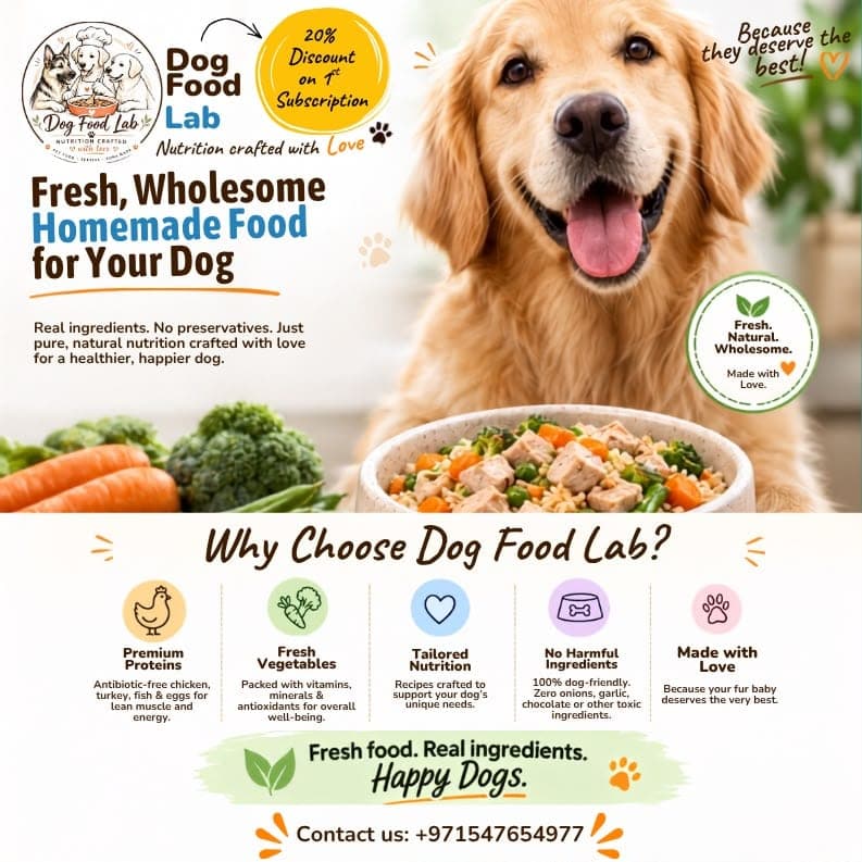 Dog Food Lab